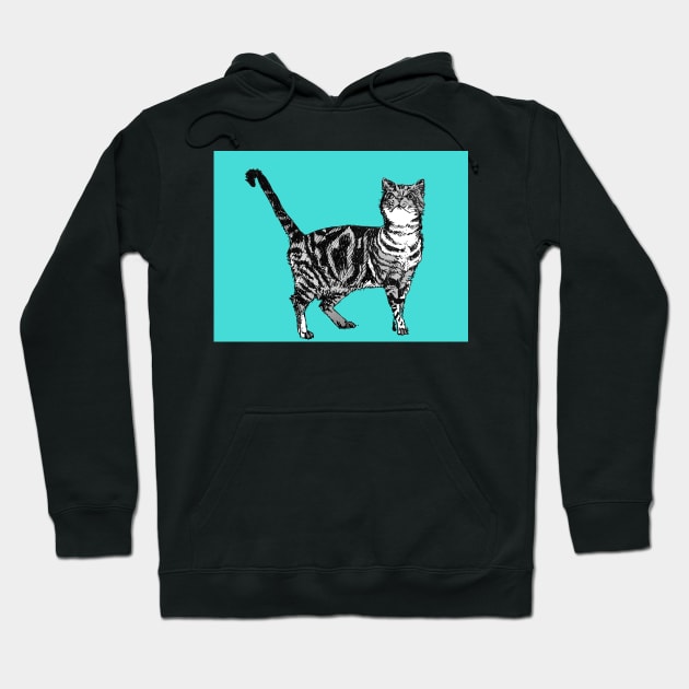 Cute Striped Tabby Cat Art Turquoise Hoodie by SarahRajkotwala